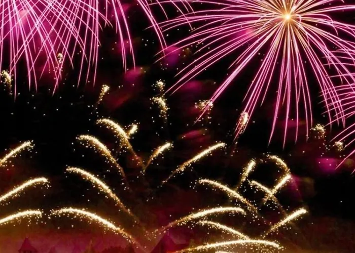 Escale Au Pied De La Cite Carcassonne